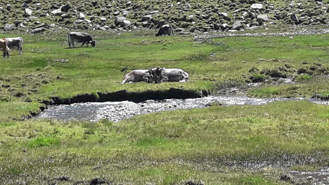 Haus Am Rechten Fleck Kaunertal Exteriör bild