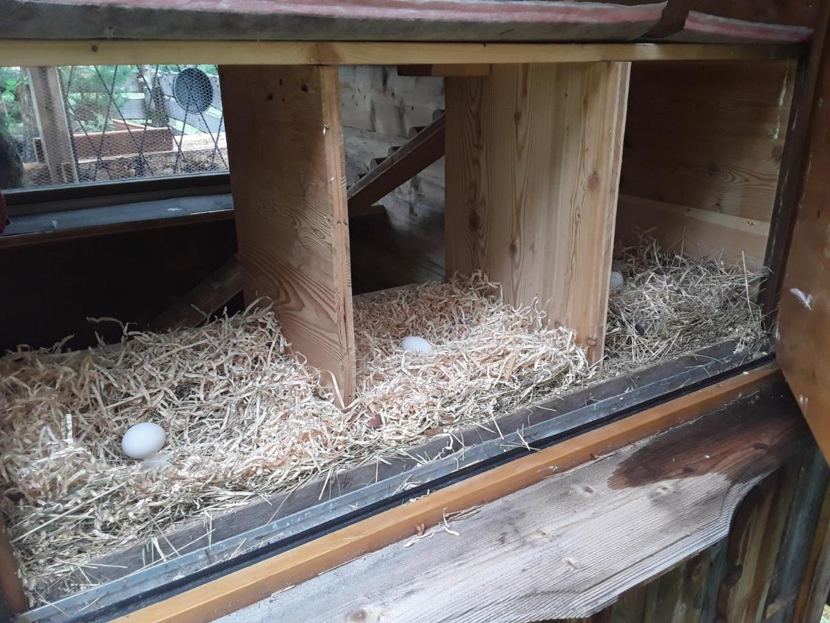 Haus Am Rechten Fleck Kaunertal Exteriör bild